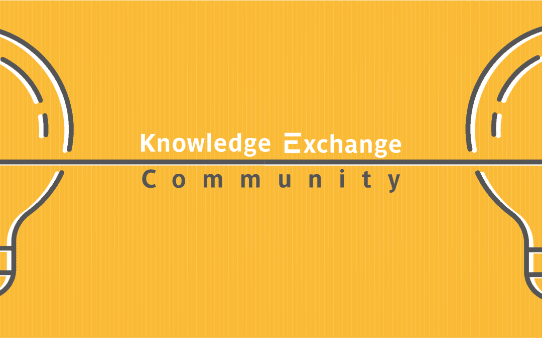 Institutional Strategies and Longer-term Solutions in Addressing the Needs of Displaced Academics and Students