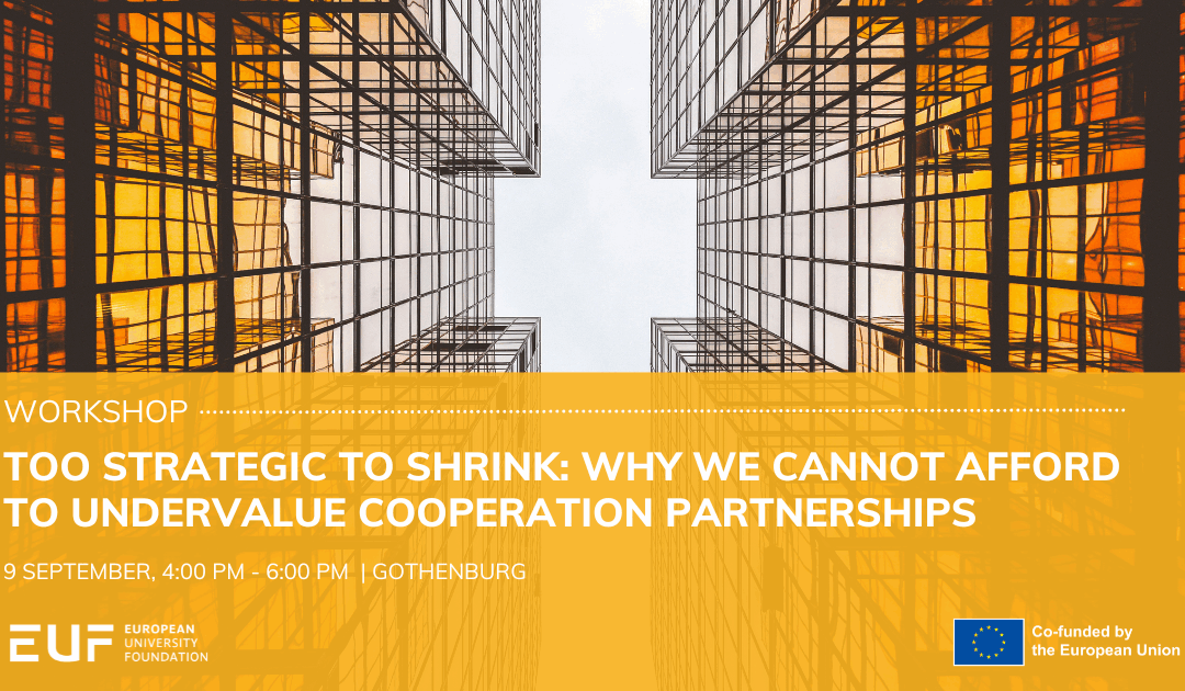 Too strategic to shrink: Why we cannot afford to undervalue Cooperation Partnerships?